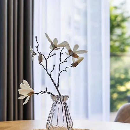 Magiczne Podhale By Concept Podhale